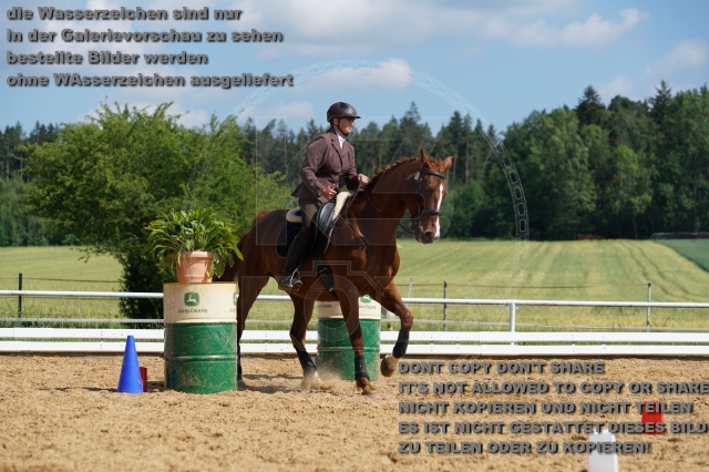 s_K3F05761.JPG